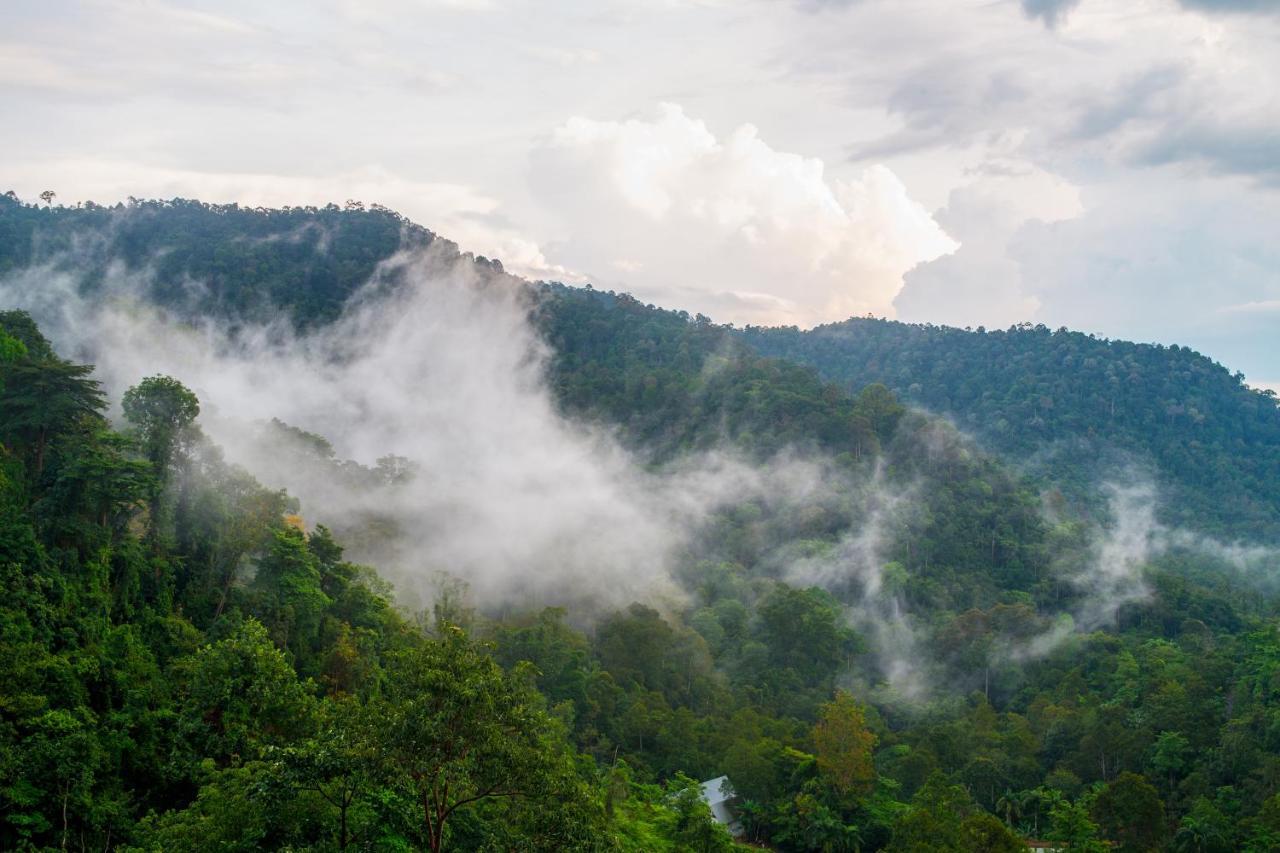 Sembayu Villa Pantai Kültér fotó